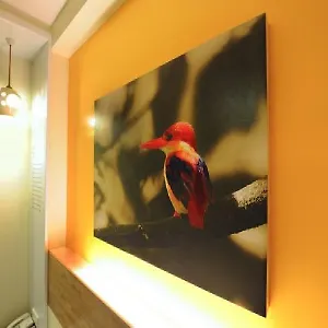 2* Hotel Kk
