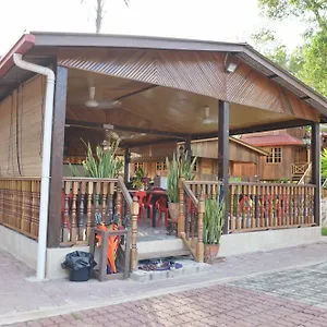 2* Hotel Borneo Tree House